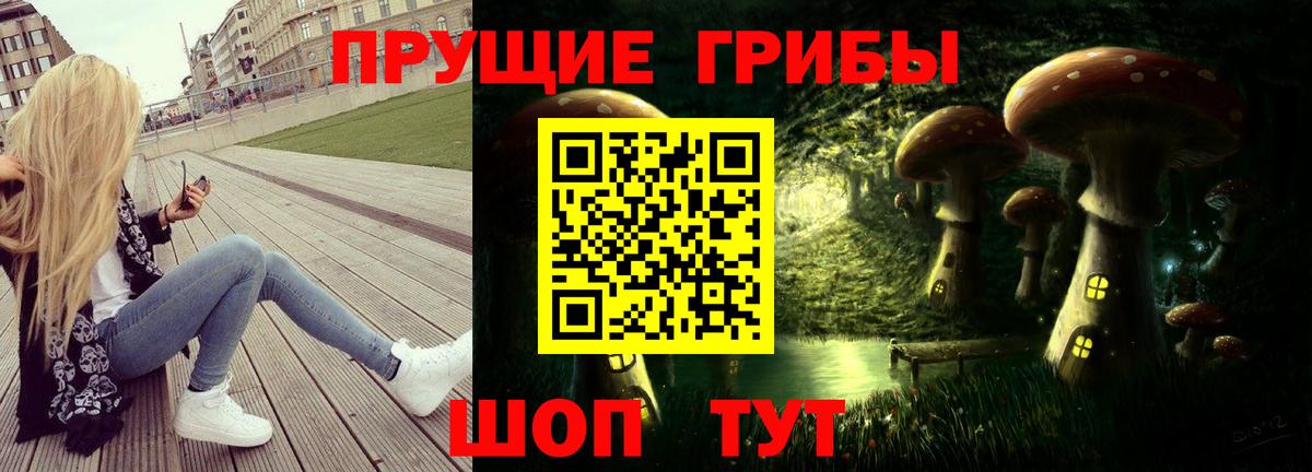 Галлюциногенные грибы Psilocybe Клин