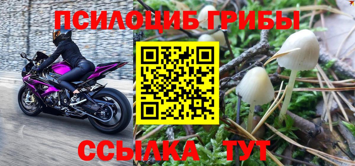 Клин  Псилоцибиновые грибы Magic Shrooms  Вход с VPN 